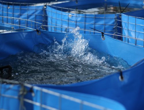 Mobiler Hochwasserschutz für Kommunen: Effektiv und Nachhaltig – Aqua Safe