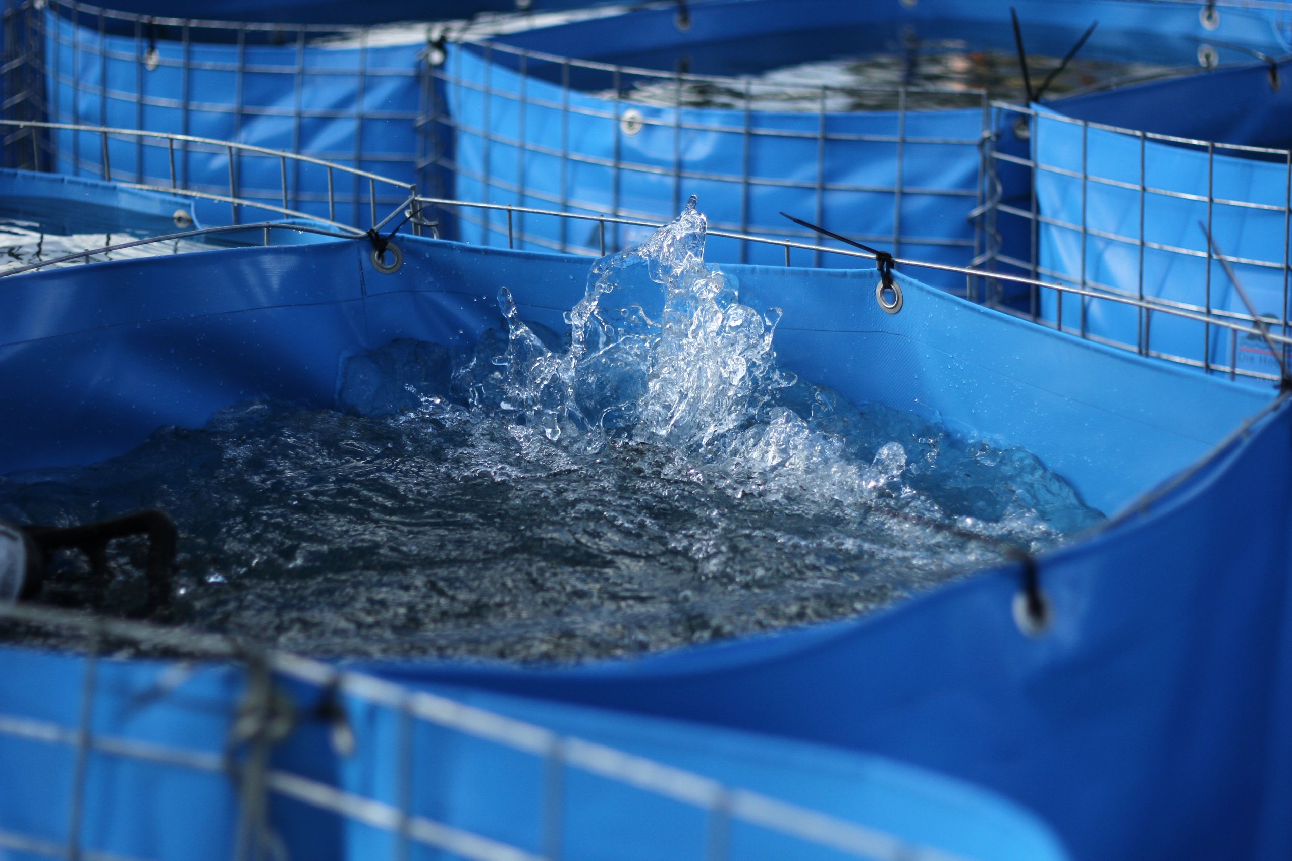 Spritzendes Wasser in einem blauen mobilen Wassertank mit Metallgitterrahmen von Aqua-Safe während des Befüllvorgangs.